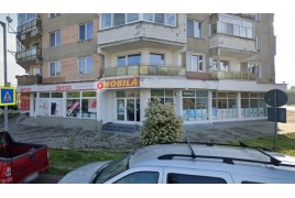 Magazin Stei