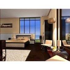 Dormitor Torino wenge / ladin